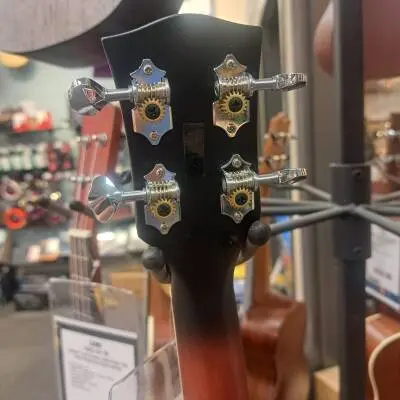 Denver - DUKE-BANJO 2